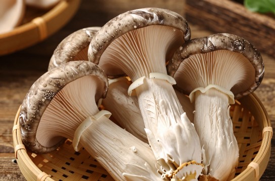 大方冬荪-展庭百科汇