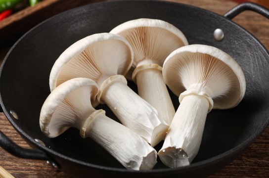 荷叶离褶伞是哪里的特产?_云南野生菌类介绍-展庭百科汇