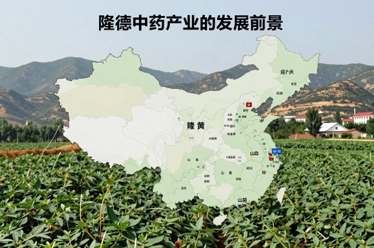 隆德中药材-展庭百科汇