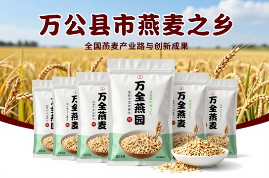 万全燕麦-展庭百科汇