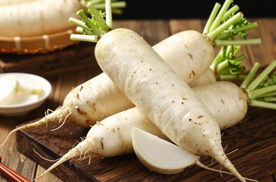 屏山白萝卜-展庭百科汇