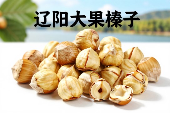 辽阳大果榛子是哪里的特产?_辽宁农产品介绍-展庭百科汇