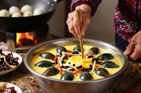 海蛋-展庭百科汇