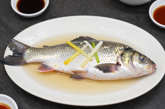 鲃鱼是哪里的特产?_香港水产类介绍-展庭百科汇