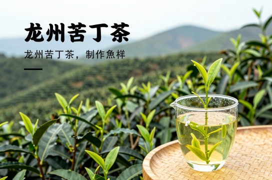 龙州苦丁茶-展庭百科汇