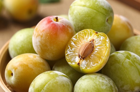 大新酸梅-展庭百科汇