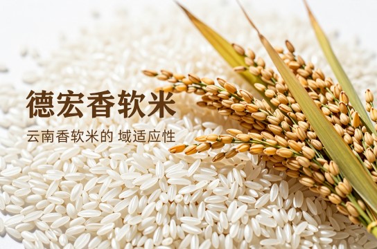 德宏香软米