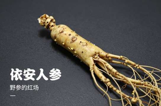 东北人参-展庭百科汇