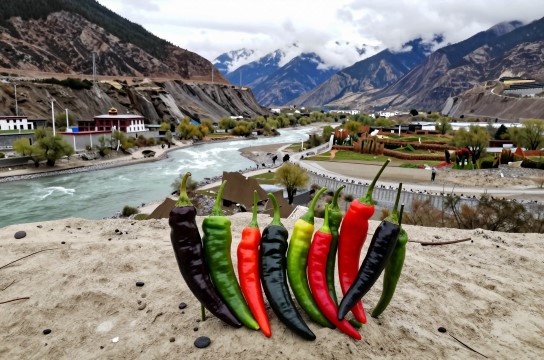 朗县辣椒是哪里的特产?_西藏农产特产介绍-展庭百科汇