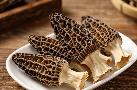 德格羊肚菌是哪里的特产?_四川食用菌类介绍-展庭百科汇