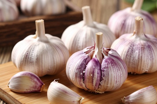 玉田紫皮大蒜-展庭百科汇