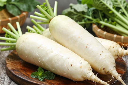 毕节白萝卜
