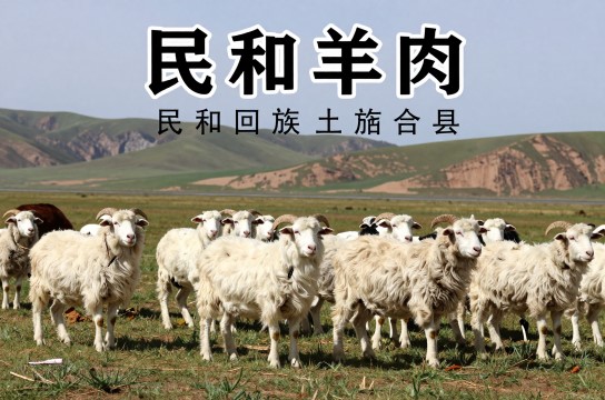 民和羊肉-展庭百科汇