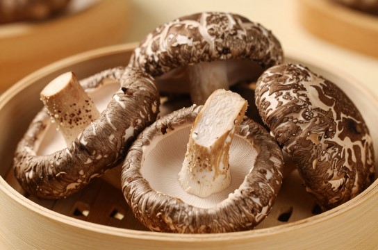 云和香菇-展庭百科汇