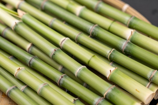 邵东流泽玉竹是哪里的特产?_湖南中药滋补介绍-展庭百科汇