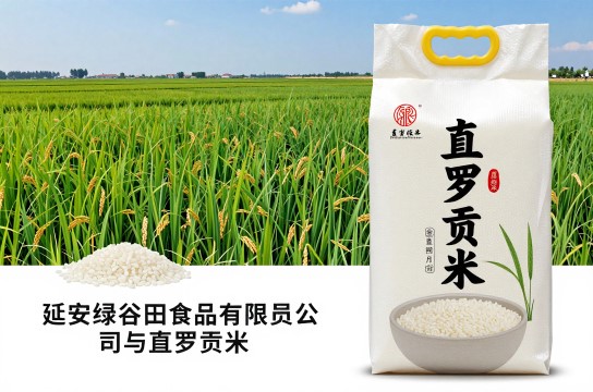 直罗贡米