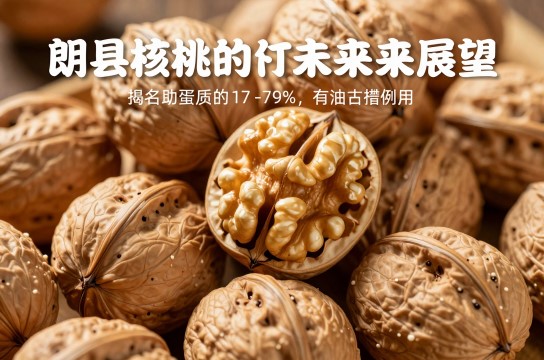朗县核桃