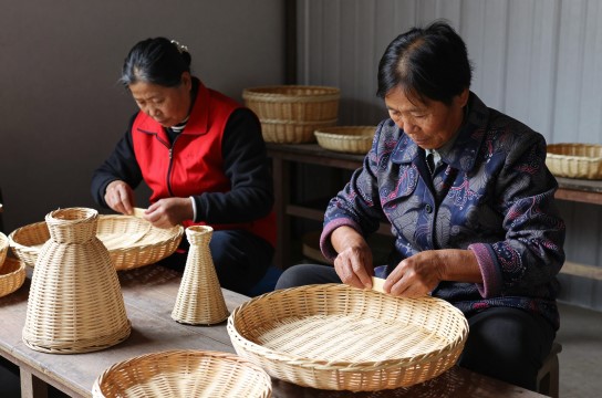 扬子柳编-展庭百科汇