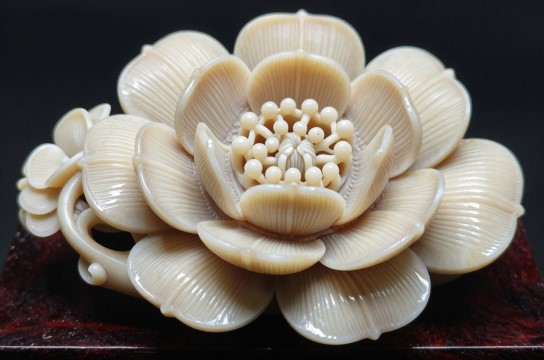 天津牙雕-展庭百科汇