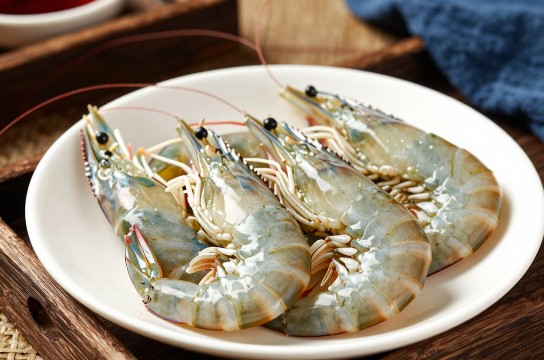 海鸥岛麻虾