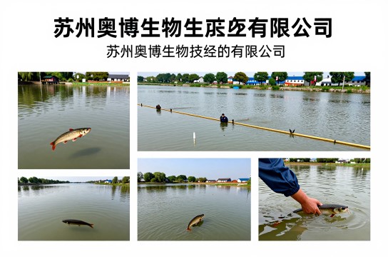 支塘泥鳅-展庭百科汇