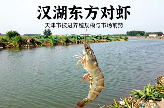 汉沽东方对虾-展庭百科汇