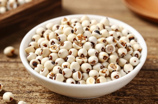 西林薏苡-展庭百科汇