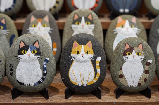 石头猫-展庭百科汇
