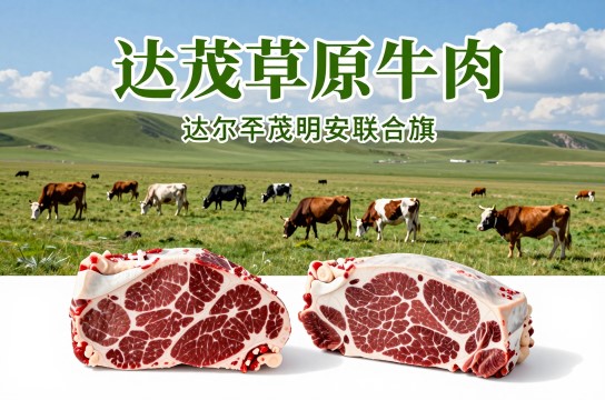 达茂草原牛肉是哪里的特产?_内蒙古农产品介绍-展庭百科汇