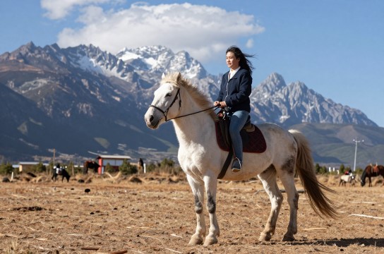 新丽江马-展庭百科汇