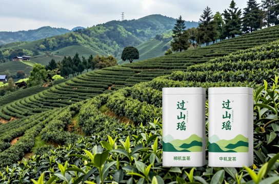 过山瑶绿茶-展庭百科汇