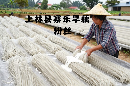 上林寨乐旱藕粉丝-展庭百科汇