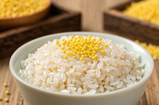 化石各小米-展庭百科汇