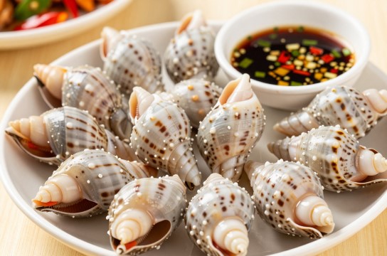 鸡腿螺