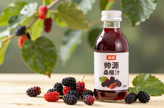 桑椹汁-展庭百科汇