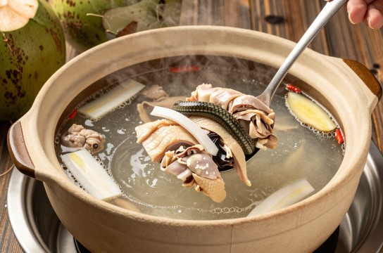 琼中椰子鸡蛇煲
