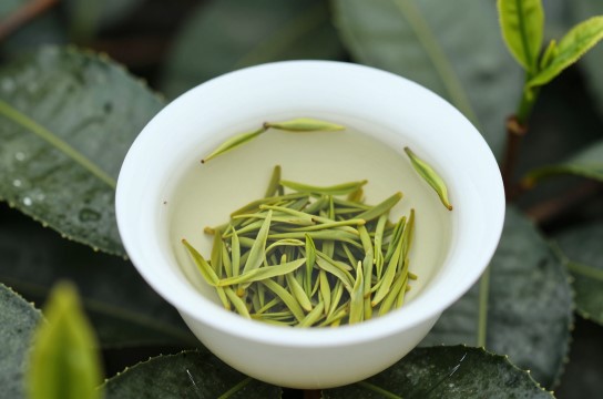 三湖茗茶-展庭百科汇