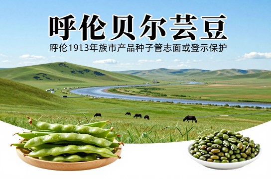呼伦贝尔芸豆-展庭百科汇