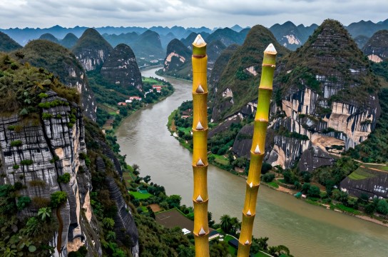 兴义黄草坝石斛