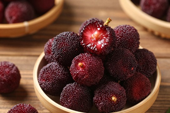 马山杨梅-展庭百科汇