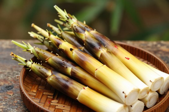 雷公笋-展庭百科汇