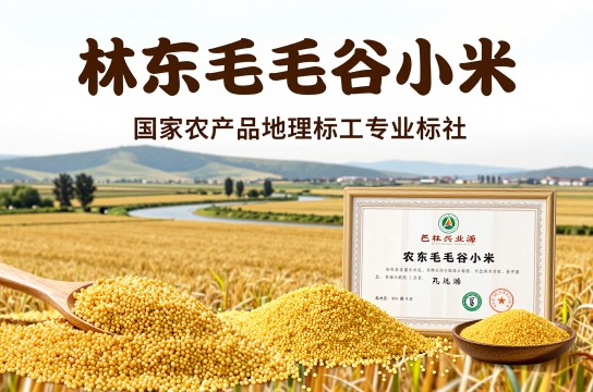林东毛毛谷小米