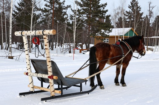 马爬犁-展庭百科汇