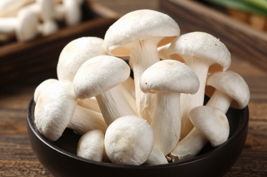 房山白灵菇是哪里的特产?_北京食用菌类介绍-展庭百科汇