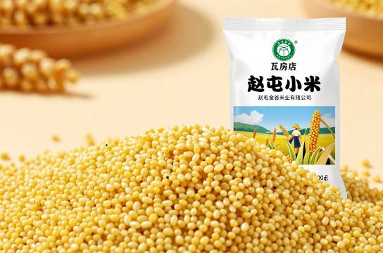 赵屯小米是哪里的特产?_辽宁农产品介绍-展庭百科汇