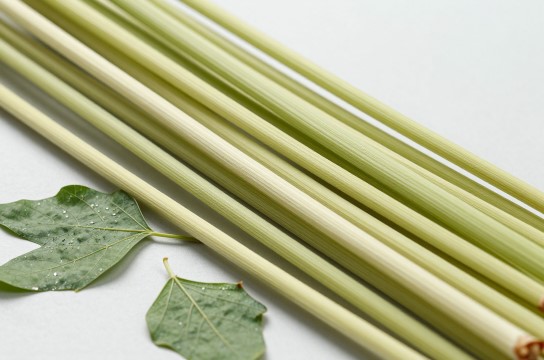 宜春苎麻-展庭百科汇
