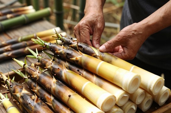 木杆清水笋