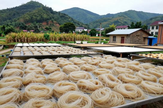 多祝番薯粉丝-展庭百科汇