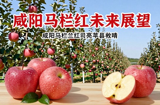 咸阳马栏红是哪里的特产?_陕西水果特产介绍-展庭百科汇