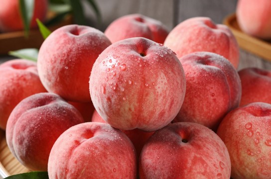 普兰店棚桃是哪里的特产?_辽宁水果特产介绍-展庭百科汇